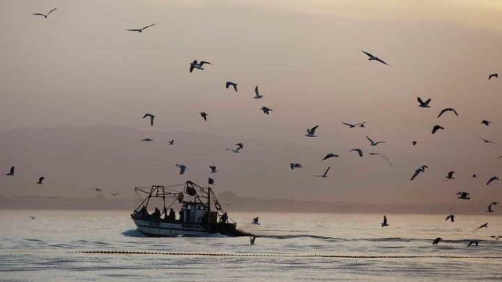 Pře kvůli rybolovu v Lamanšském průlivu pokračuje. Paříž hrozí Londýnu odvetou; Zdroj foto: Reuters