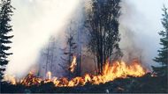 Plameny likvidují také hasicí letouny a vrtulníky, kterých bylo v sobotu sedm desítek.