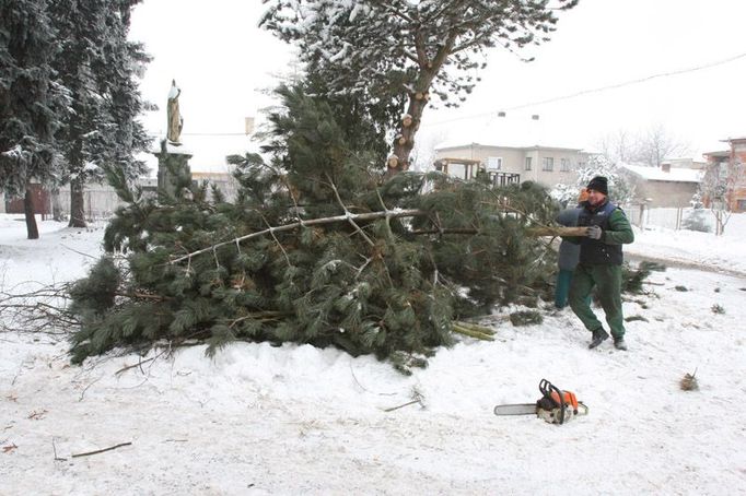 Štěpku si připravují sami. Snad si nevykácí všechny stromy v obci. Slámu nebo energetický šťovík kupují od místních zemědělců