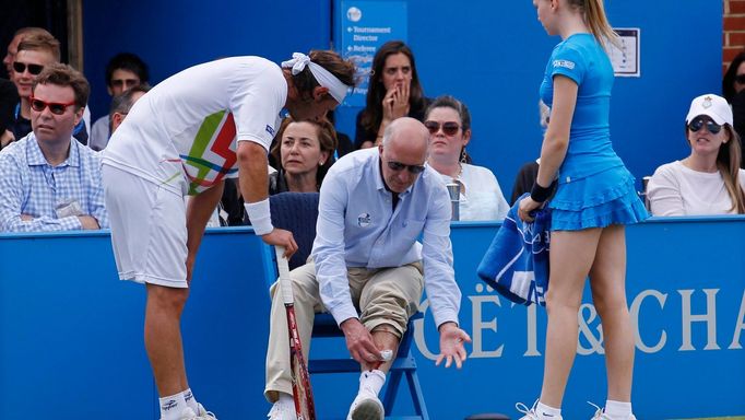 Argentinský tenista David Nalbandian zranil čárového pomezního rozhodčího Andrewa McDougalla během Turnaje Queen's Clubu.