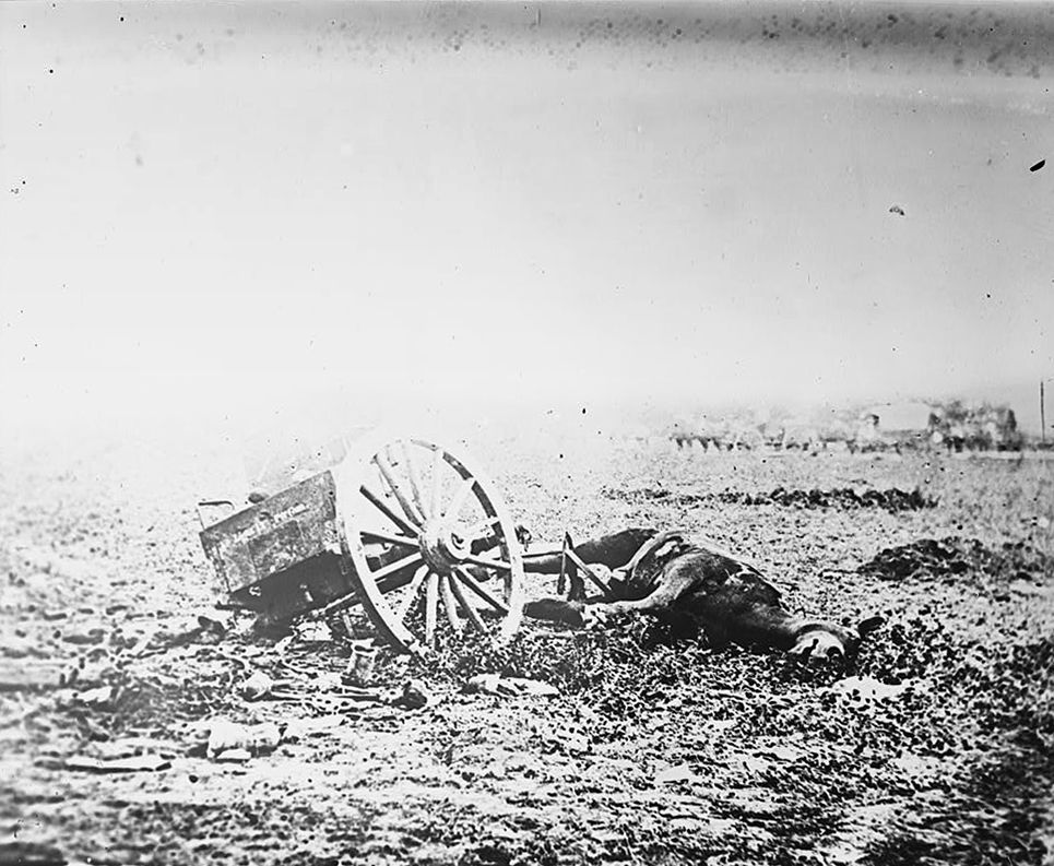 Fotogalerie / Bitva u Gettysburgu / Library of Congress / 20