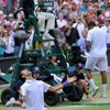 Wimbledon 2011: Djokovič - Tsonga