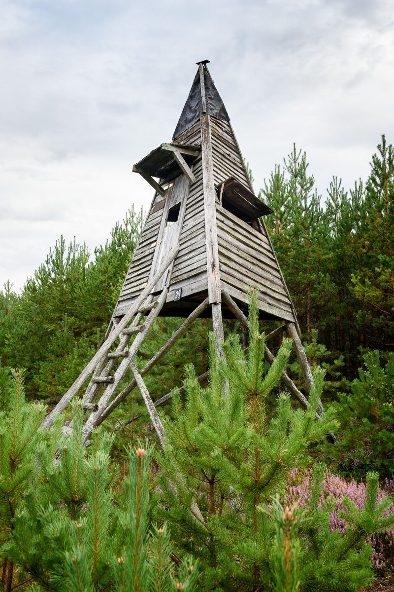 Lovec posedů / Fotogalerie / Posedy jak je určitě neznáte. Nechte se uhranout géniem myslivecké tvořivosti