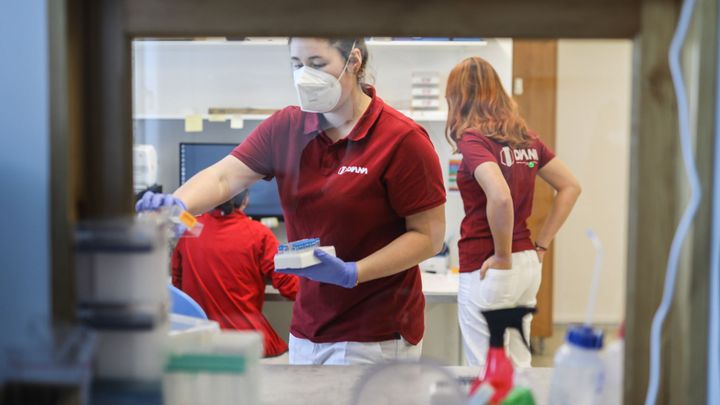 Foto: Zde zjišťují, jestli jste pozitivní. Prošli jsme PCR laboratoř s novými testy; Zdroj foto: Jakub Plíhal
