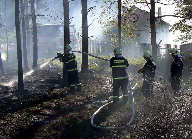 Požár lesa u železniční trati u obce Pňovany