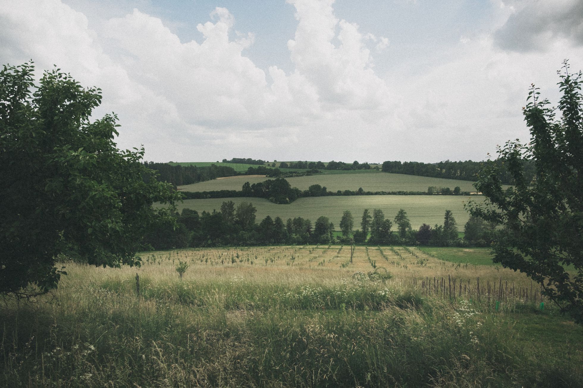 Příběh "Dům je taky bytost", Kniha Na okraji domov můj, Na okraji domov můj: Sedm příběhů o životě na české vesnici a proměně venkova, Magazín, fotogalerie