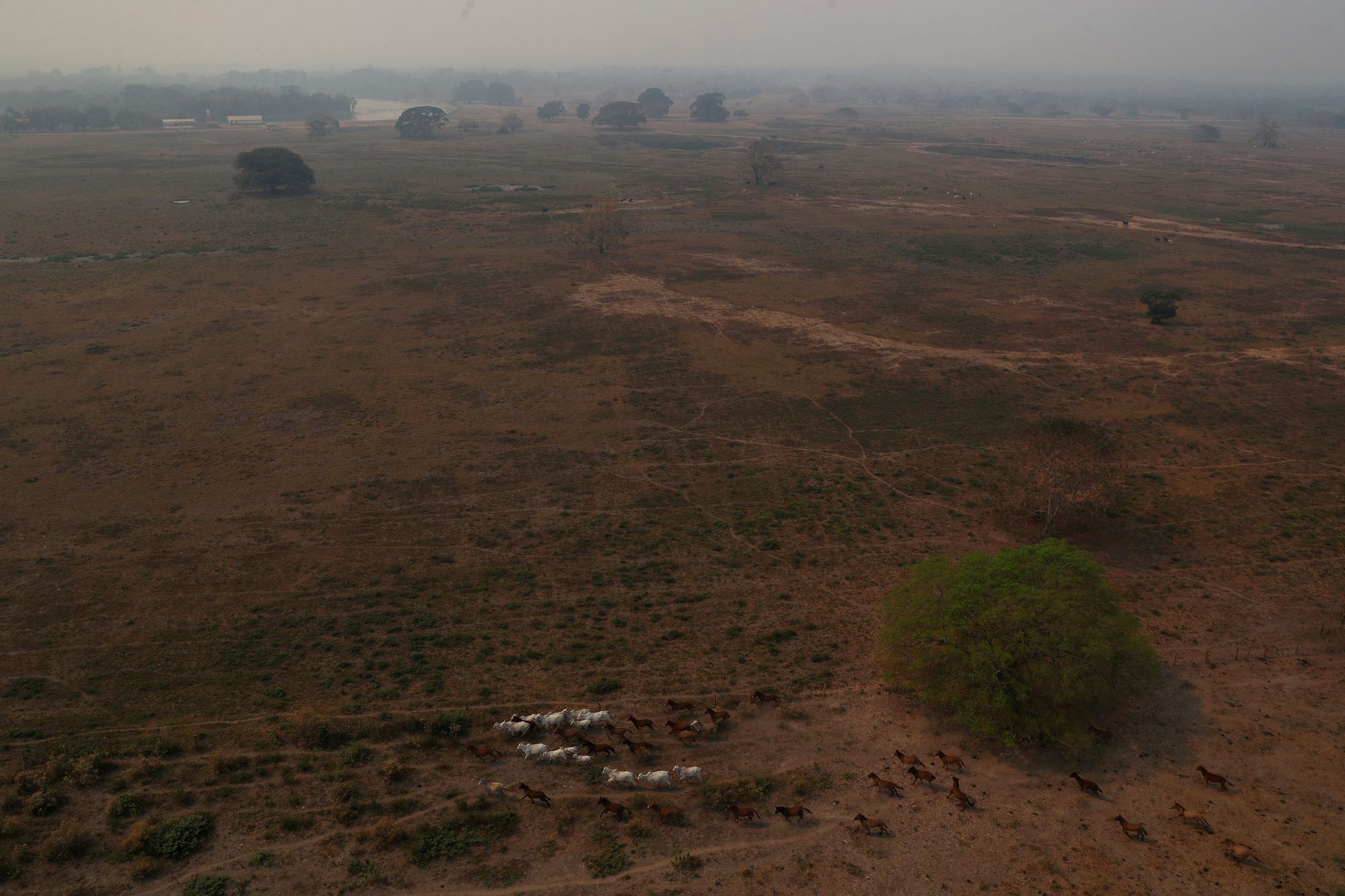 V Brazílii hoří největší mokřad světa Pantanal