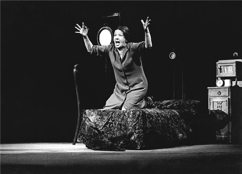 Dana Medřická, herečka