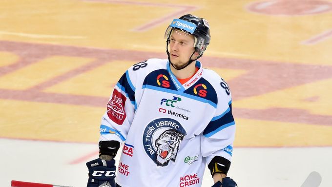 Michal Bulíř, hokejový útočník Bílých Tygrů Liberec