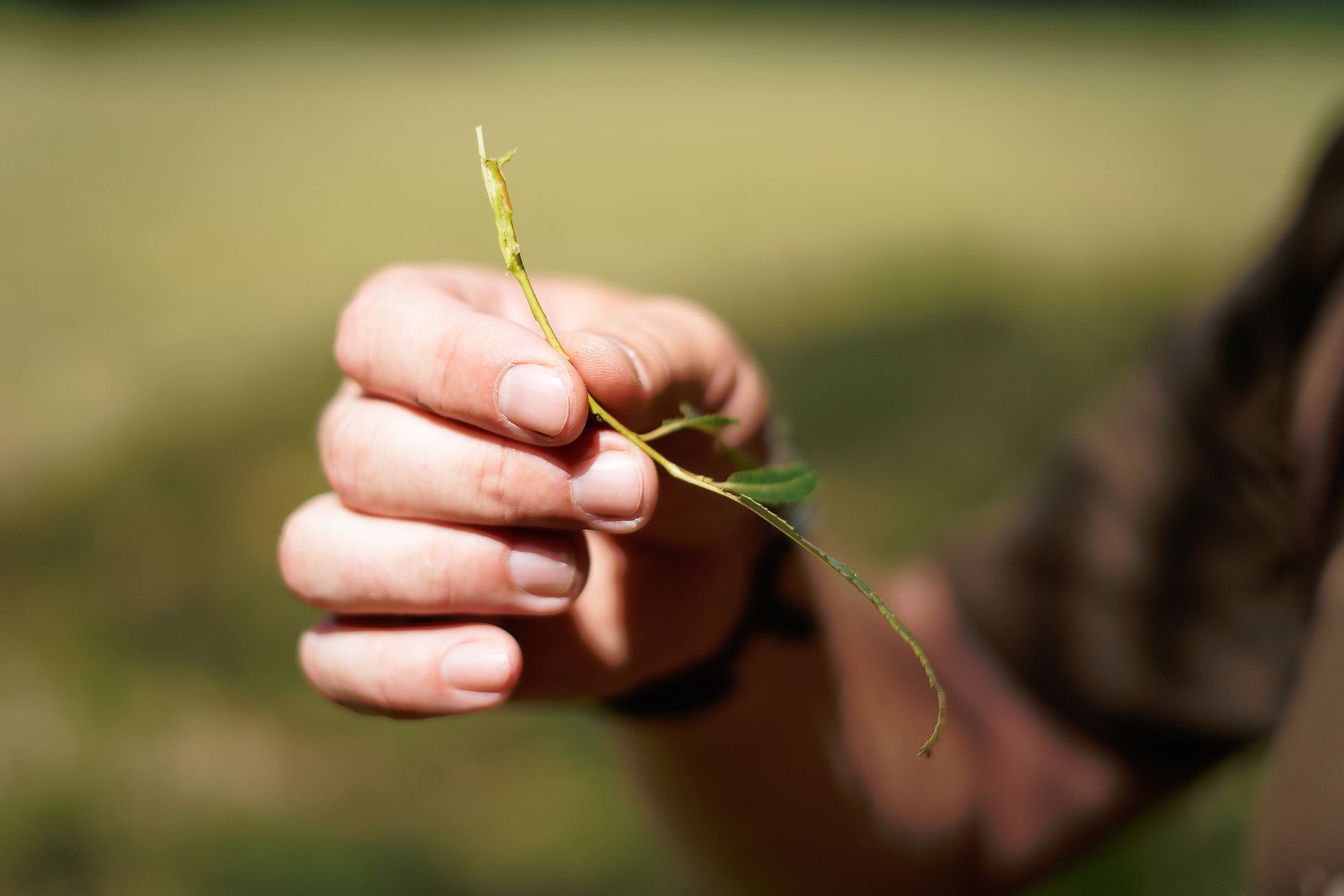 Bushcrafting, zálesáctví, pobyt v přírodě, les, bushcraft, Tomáš Krákora, kurz přežití