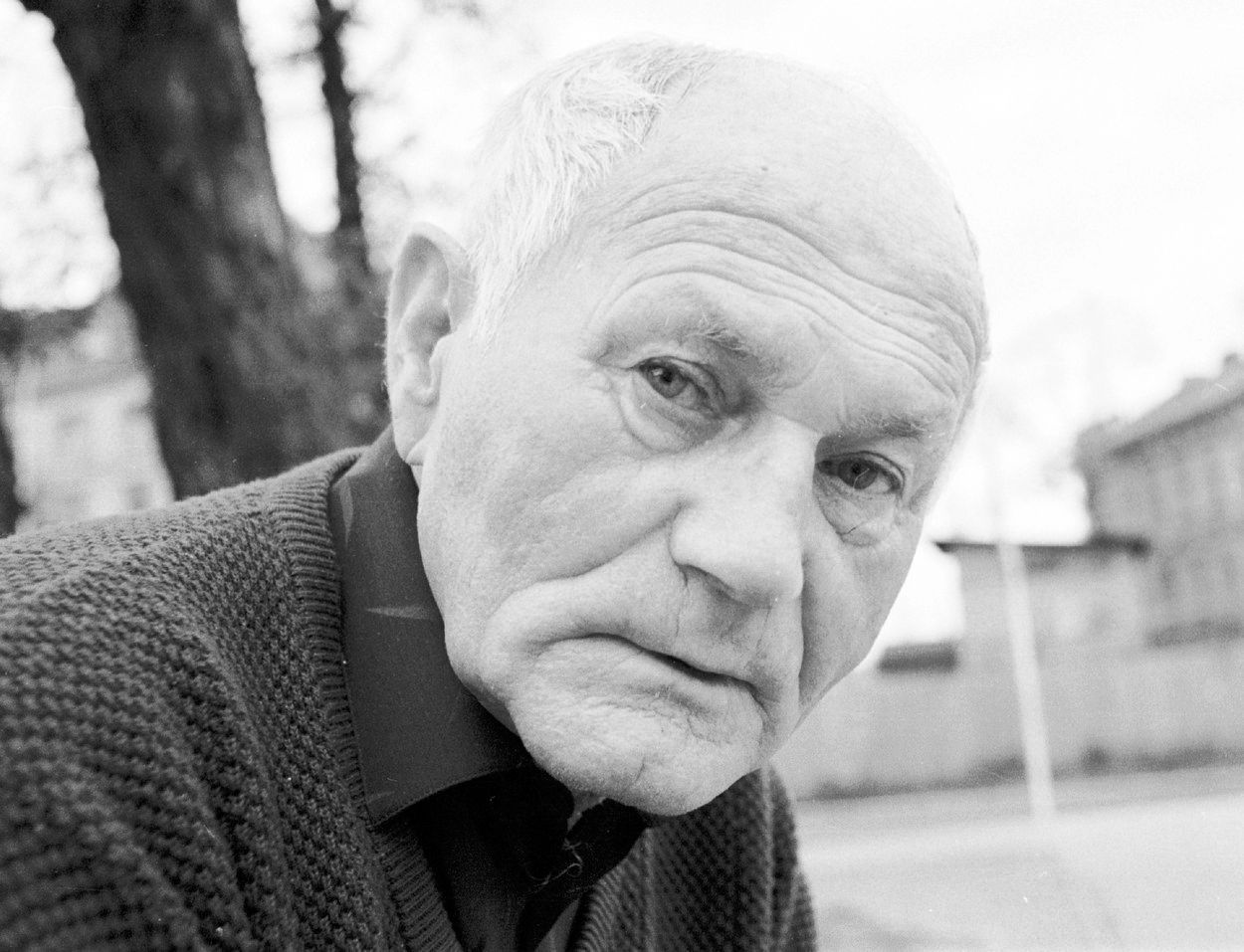 Bohumil Hrabal, 80. léta.