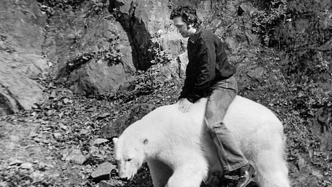 Chovatel na hřbetu medvěda, Růžičková se šelmou. Fotky ukazují začátky brněnské zoo