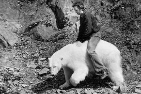 Chovatel na hřbetu medvěda, Růžičková se šelmou. Fotky ukazují začátky brněnské zoo