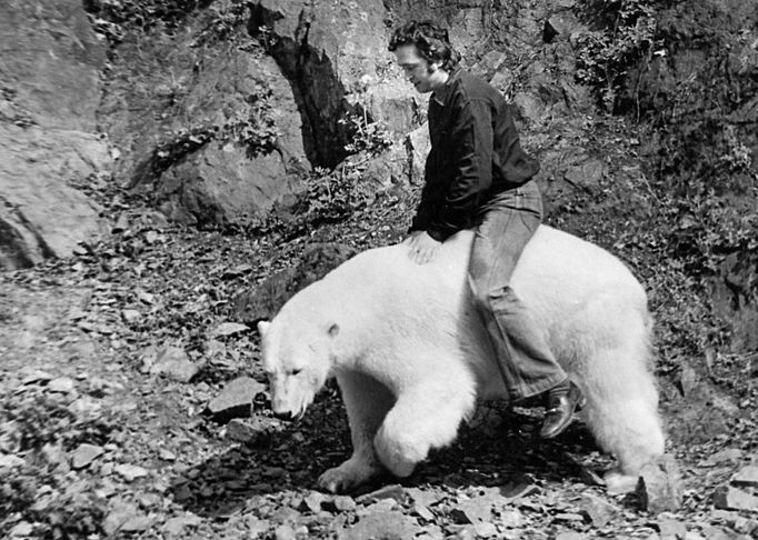 Na snímku: Umělý odchov ledního medvěda Kukulína v Brněnské Zoo, rok cca 70. léta