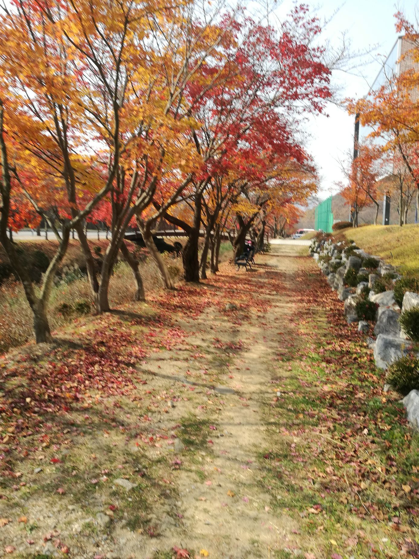 archiv sinoložky Dominiky Sakmárové