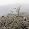 Jaro v Krušných horách