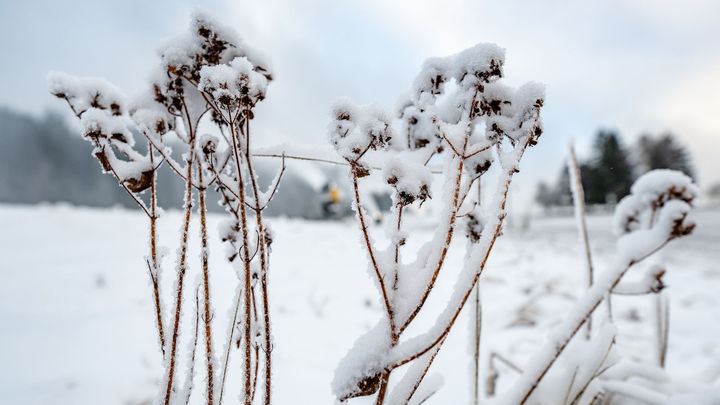 Drsné Česko: mráz, sníh, vichr. Meteorologové řekli, jak bude příští týden