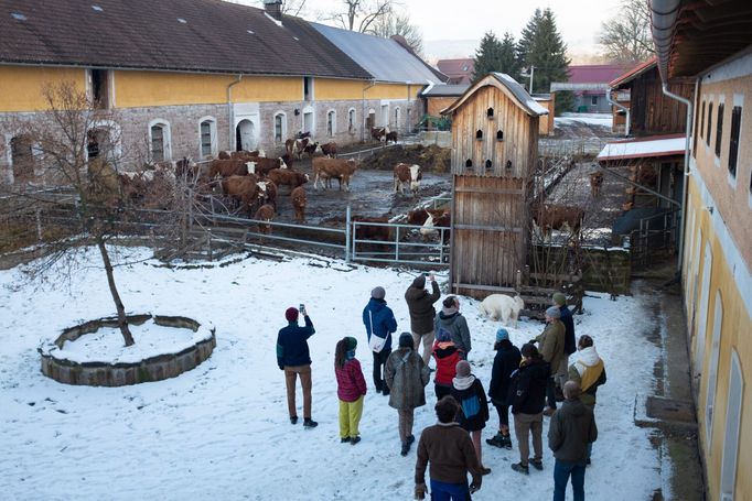 Za tříleté studium tak navštíví i deset různých farem.