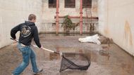 Zaměstnanec zvířecí záchranky odchytává zajíce polního, který spadl do nádrže čističky odpadních vod. Zajíc se naštěstí nijak nezranil, a tak byl po odchytu vypuštěn zpět do volné přírody.