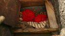 Bodies and skulls are seen in a stone grave called "Liang" during a ritual in the Toraja district of Indonesia's South Sulawesi Province, August 23, 2012. The ritual, called Ma'nene, involves changing the clothes every three years of mummified ancestors to honor love for the deceased. Locals believe dead family members are still with them, even if they died hundreds of years ago, a family spokesman said. Picture taken August 23, 2012. REUTERS/Yusuf Ahmad (INDONESIA - Tags: SOCIETY RELIGION) Published: Srp. 24, 2012, 1:09 odp.