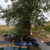 Běženci po přechodu srbsko-maďarské hranice u města Asotthalom