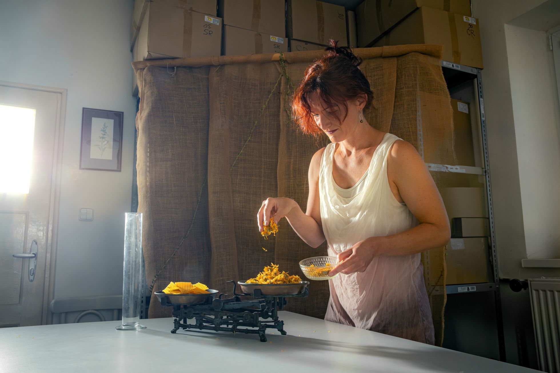 Dr. Dudek, Františka Tlustá, příroda, kosmetika