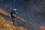 Oheň se rozhořel poblíž obce Staré Hamry, která je celá obklopena lesy.