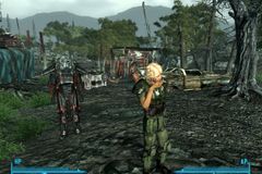 Začalo jaro, i ve Falloutu 3