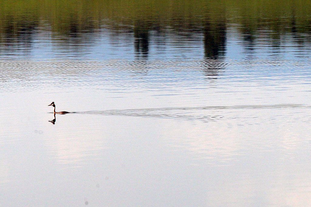 Jezero Most