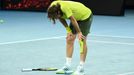 Australian Open 2021, čtvrtfinále (Stefanos Tsitsipas)