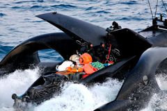 Aktivisté uspěli, velrybáři jedou domů s nepořízenou