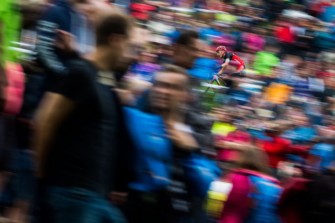 Czech Press Photo 2016 - vítězové