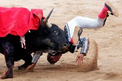 Katalánský parlament zakázal býčí zápasy