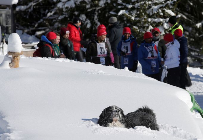 African Winter Sports Cup