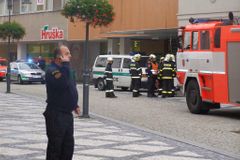 Lupiče v Krnově chytli lidé. Granát bouchl při zatýkání