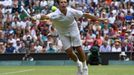 Wimbledon 2014: Štěpánek - Djokovič