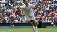 Jejich vzájemný duel z Wimbledonu 2014 je tak nabitý zajímavými okamžiky, že si musíme ukázat celý sestřih.