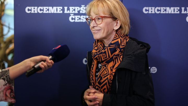 Válková bojuje za přijetí Istanbulské úmluvy. Přesvědčovala už i kardinála Duku