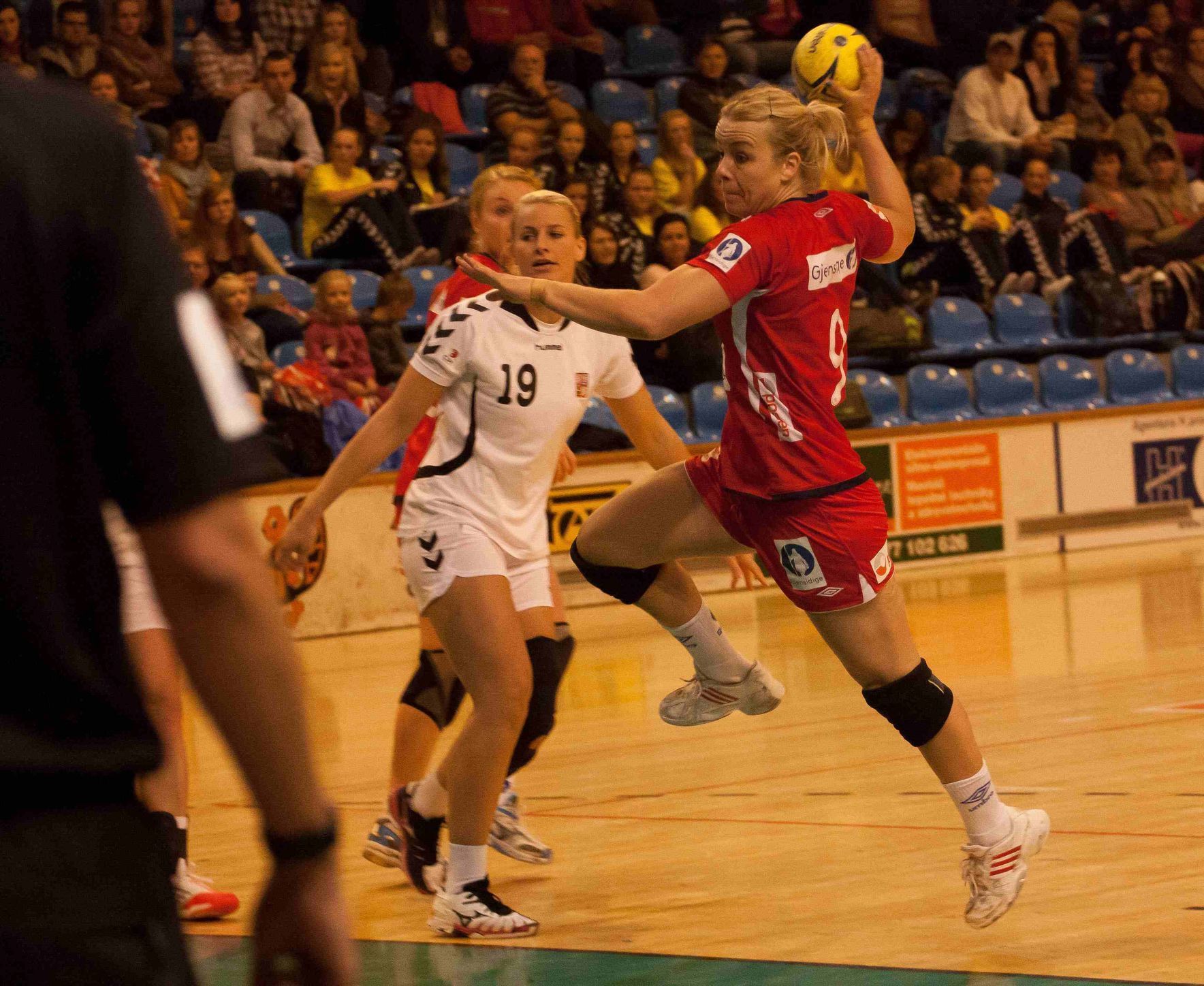 Házená: Česko - Norsko