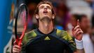 Australian Open: Andy Murray