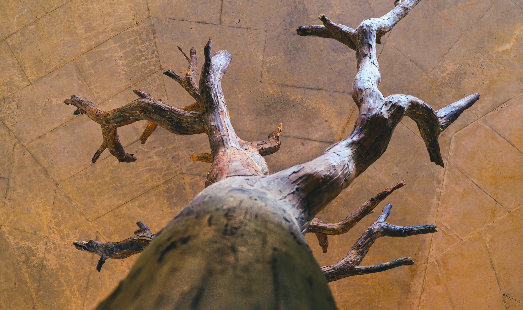 Muzeum Hanse Christiana Andersena