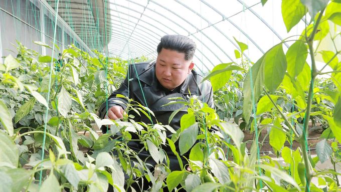 Severokorejský vůdce Kim Čong-un na inspekci ve skleníku.
