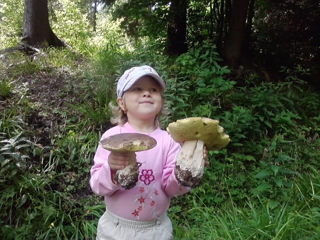 Fotosoutěž: Houby 2002 (srpen) xxx Barbora Večeřová xxx !!!Nepoužívat v článcích!!!