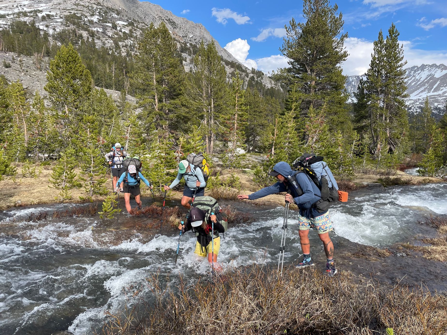 Pacifická hřebenovka