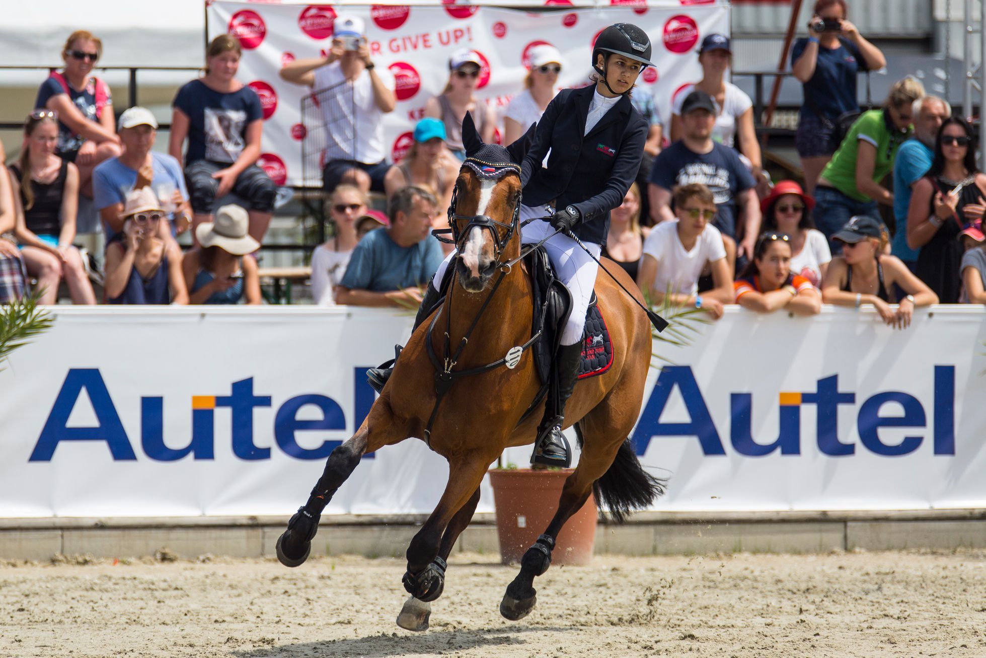 Parkur, CSI Olomouc 2017