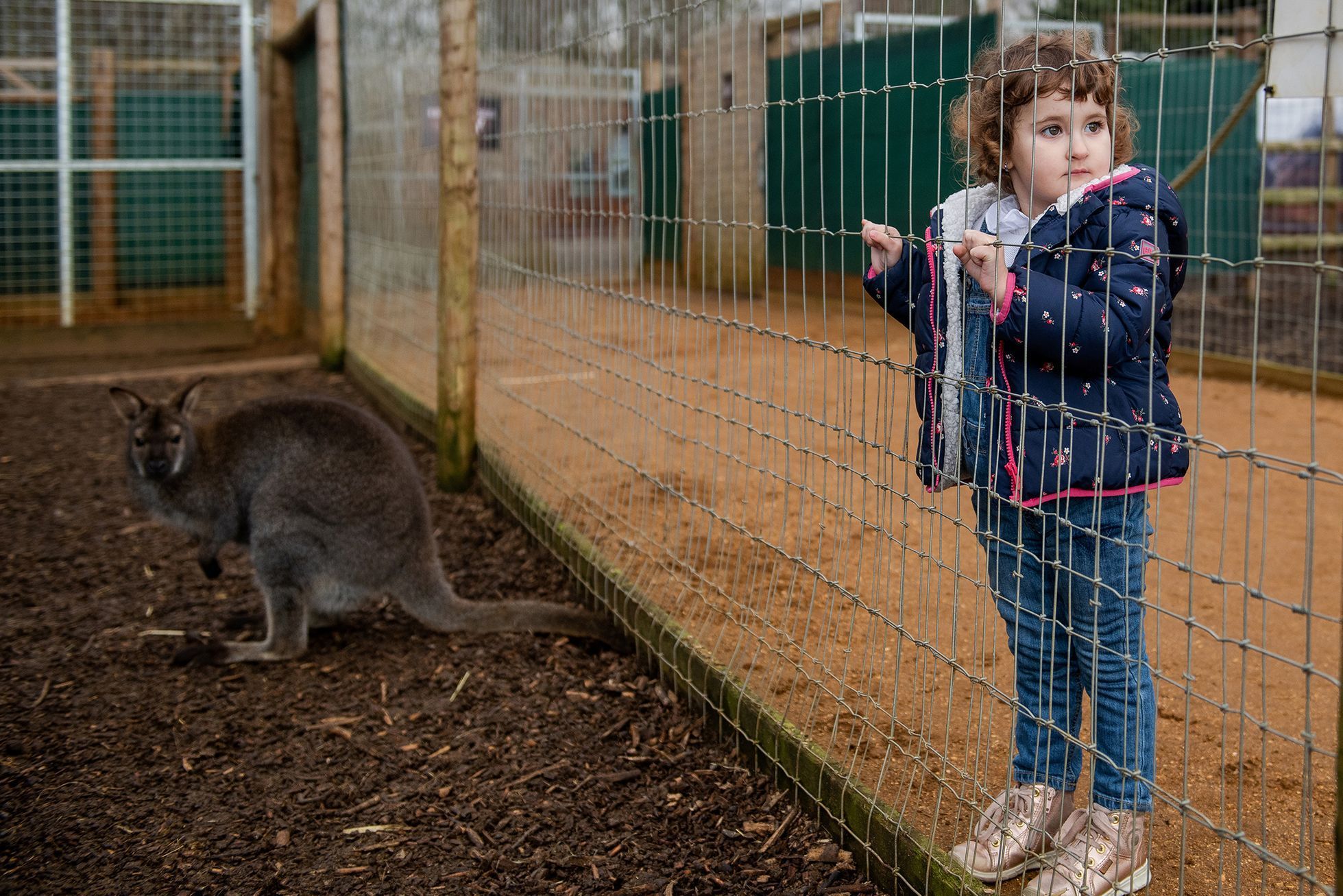 Fotogalerie / Rodina imigrantů žijící v Británii zvažuje emigraci kvůli brexitu a narůstající xenofobii / Reuters