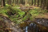 Dřevěné přehrážky mají za úkol zadržet vodu v korytech, která byla původně vyhloubena proto, aby se smrkové lesy odvodnily.