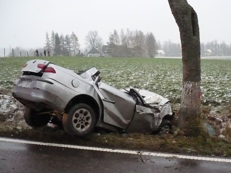 Auto narazilo při nehodě do stromu