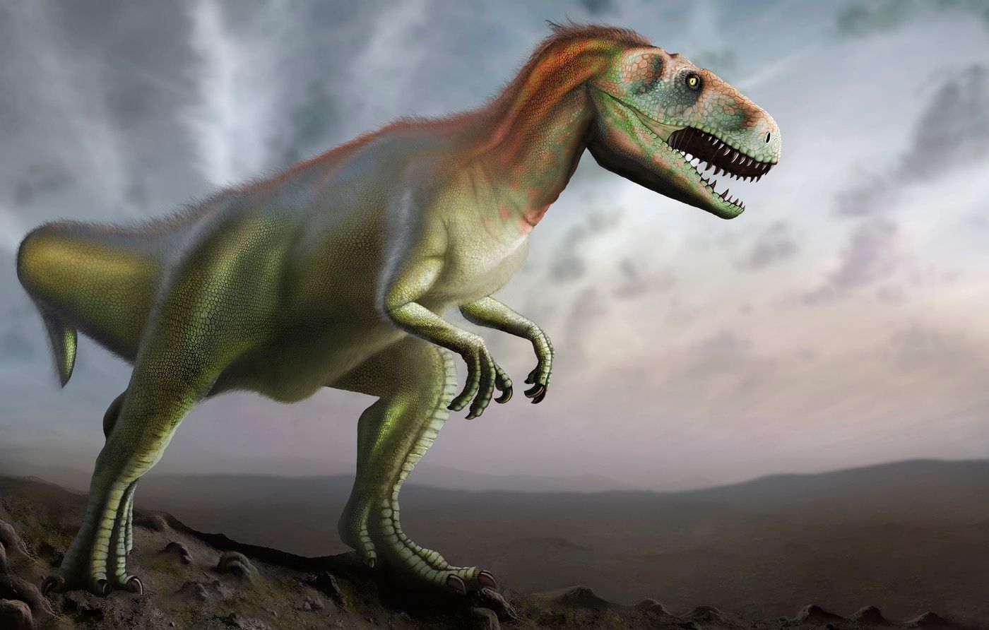 Dinosaurus,  Paleontologie, historie, Magazín