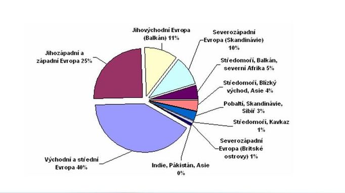 Původ českého obyvatelstva podle genetických znaků na chromozomu Y.